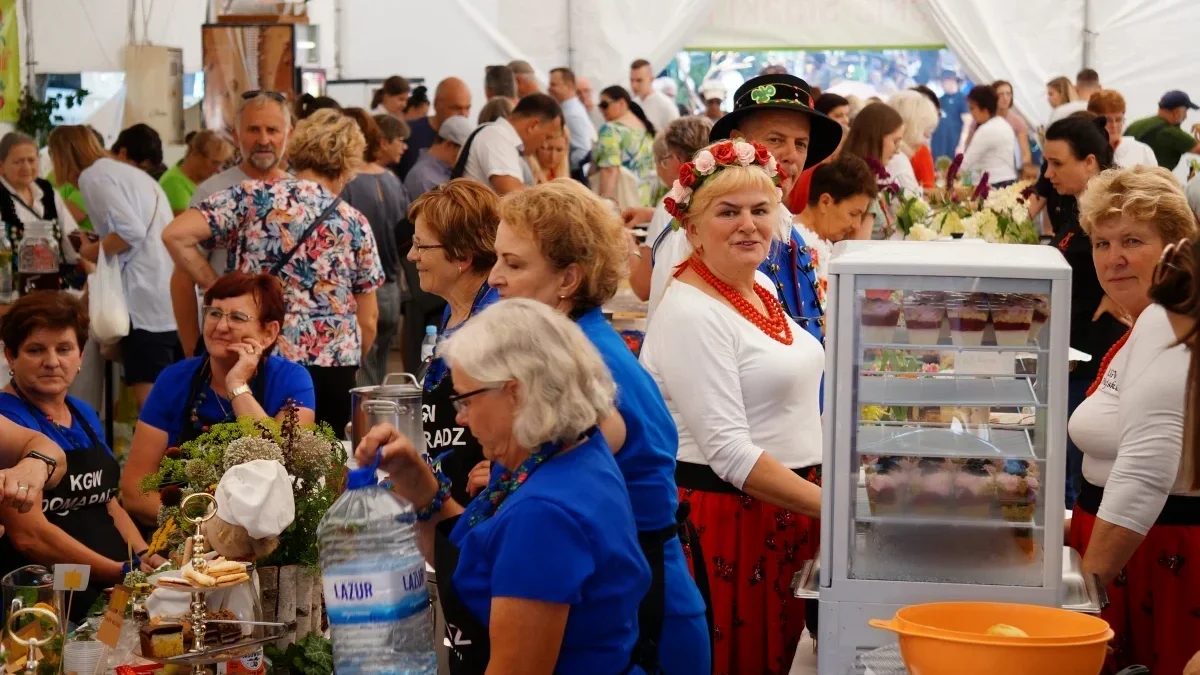 Agrobieszczady 2024. Targi turystyki, leśnictwa i produktu lokalnego w Lesku [ZDJĘCIA] - Zdjęcie główne