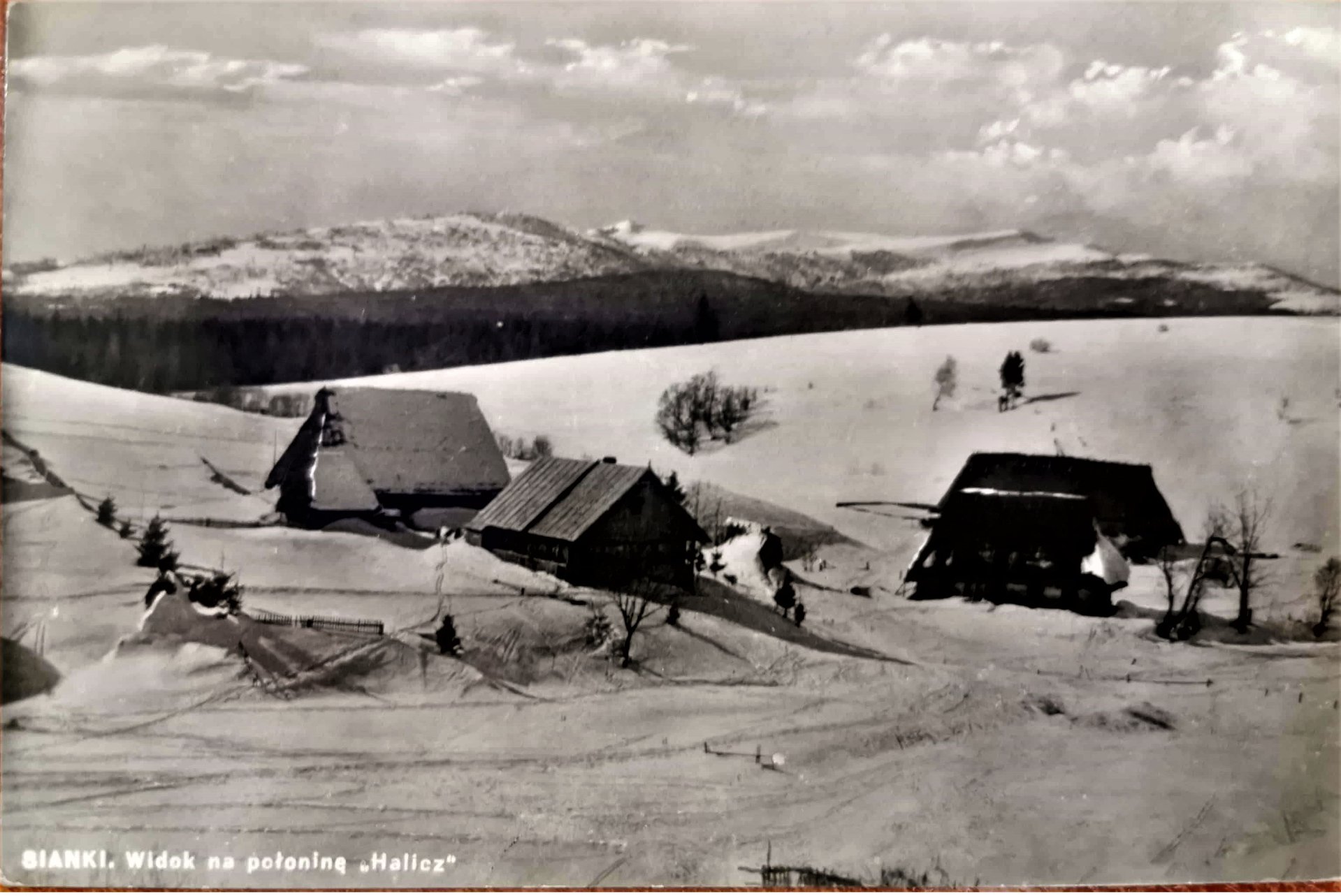 Pocztówka. Widok na połoninę Halicz. 1934