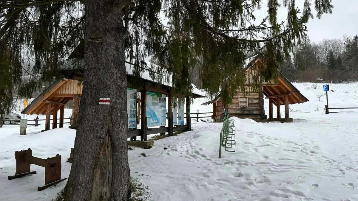 Bieszczady. Pogoda i warunki górskie na dziś. Poniedziałek, 08 stycznia - Zdjęcie główne