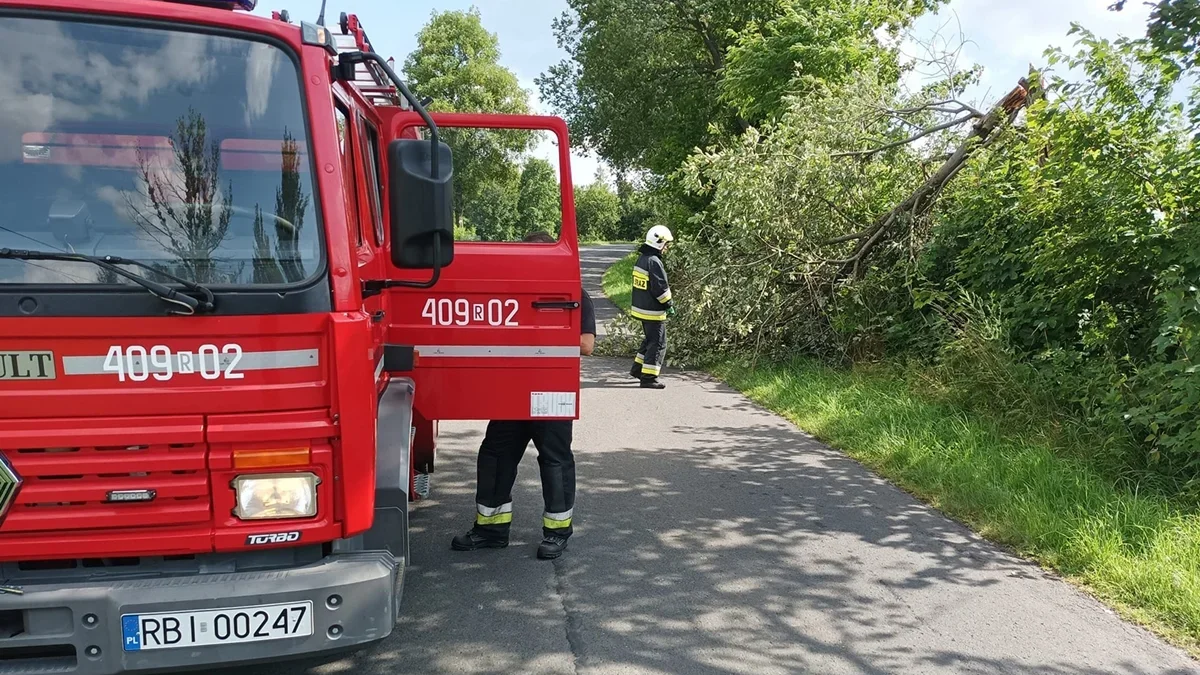 Załamanie pogody w Bieszczadach. Strażacy interweniowali w okolicy cerkwi w Bystrem - Zdjęcie główne