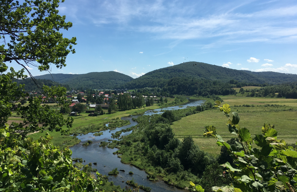 Panorama z punktu widokowego ponad Skałkami Myczkowieckimi