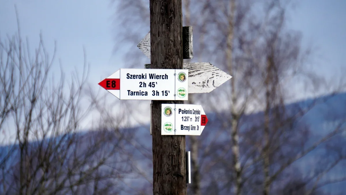 Bieszczady. Pogoda i warunki górskie na dziś. Poniedziałek, 04 marca - Zdjęcie główne