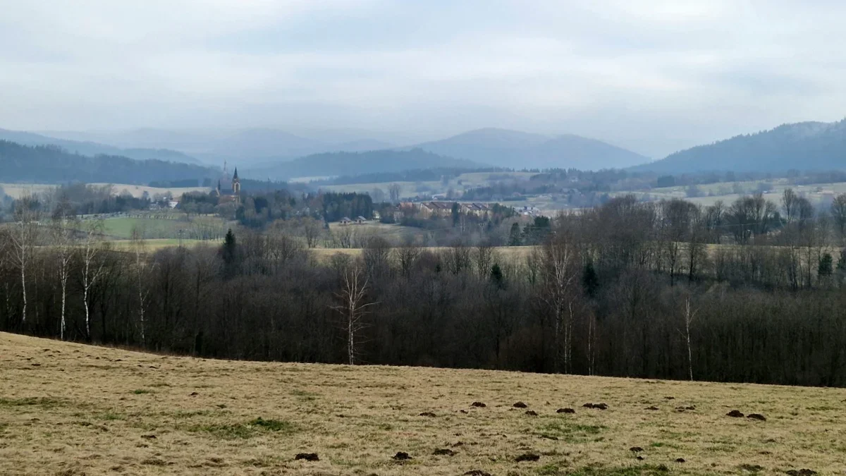 Bieszczady. Pogoda i warunki górskie na dziś. Sobota, 09 marca - Zdjęcie główne