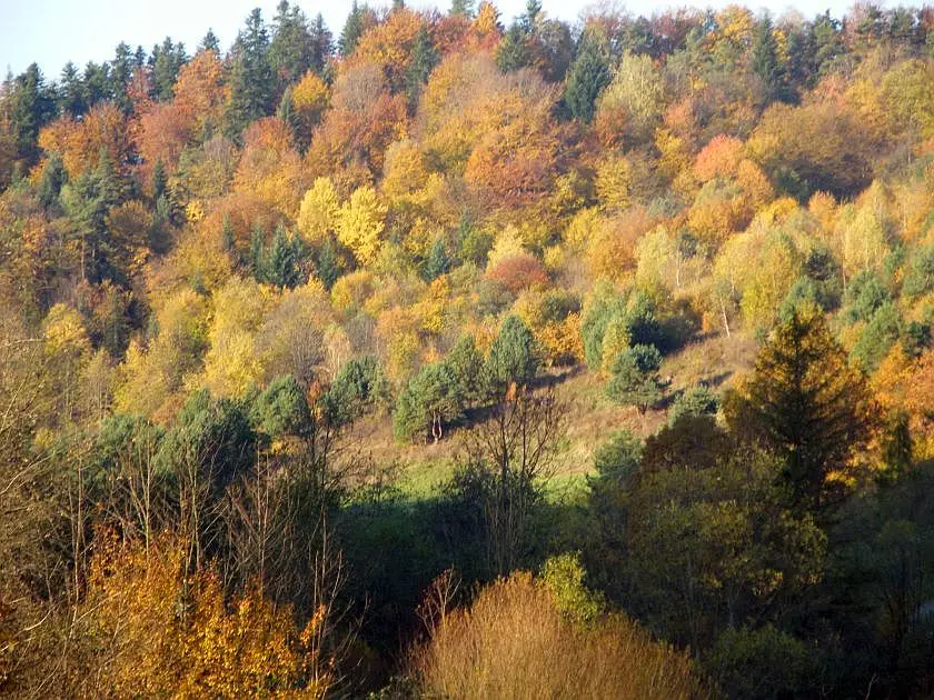 Kolorowa bieszczadzka jesień [FOTO] - Zdjęcie główne