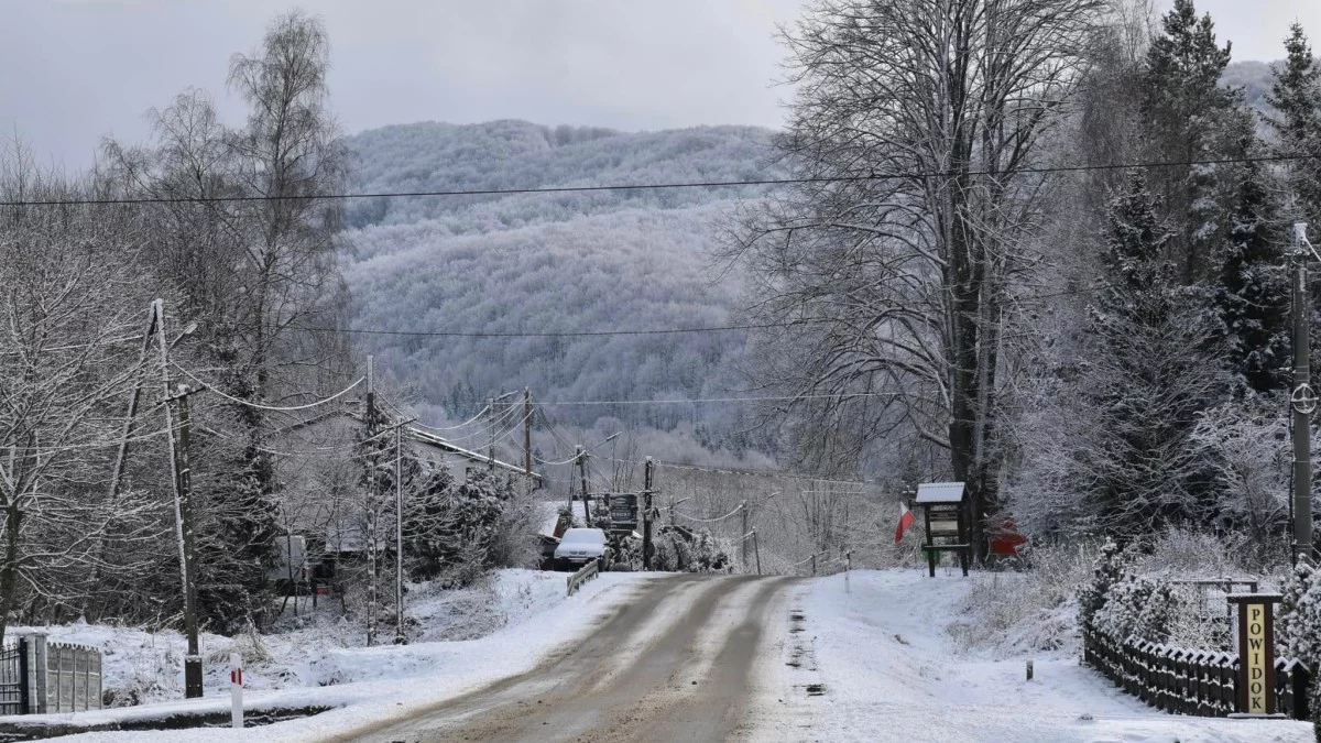 Bieszczady. Pogoda i warunki górskie na dziś. Niedziela 5 stycznia - Zdjęcie główne