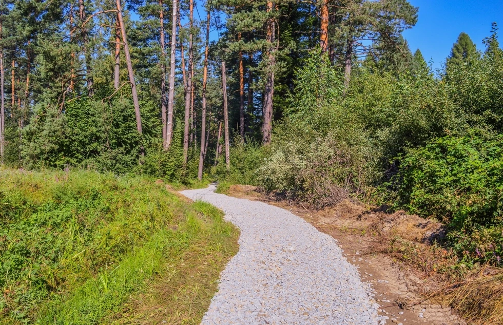 Ścieżka pieszo-rowerowa oddana do użytku  - Zdjęcie główne