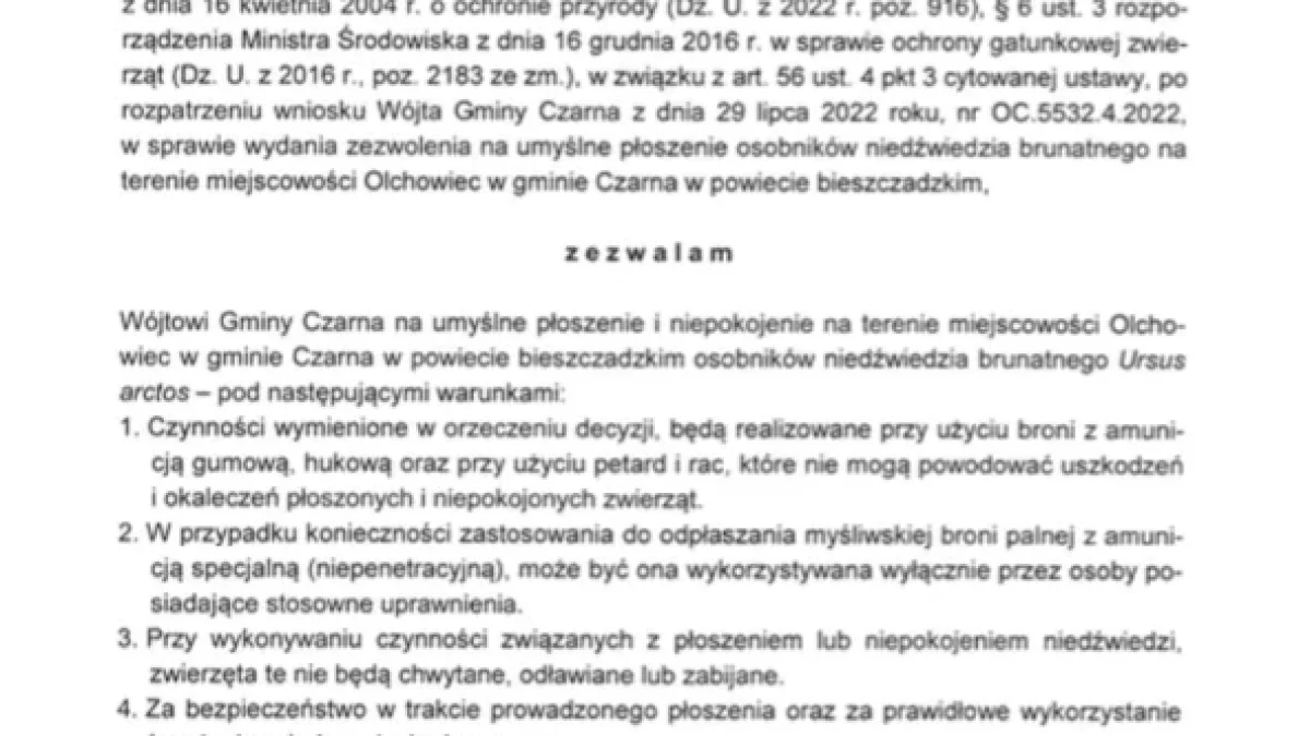 Jest przełom w sprawie niedźwiedzi, które zadomowiły się nad Jeziorem Solińskim - Zdjęcie główne