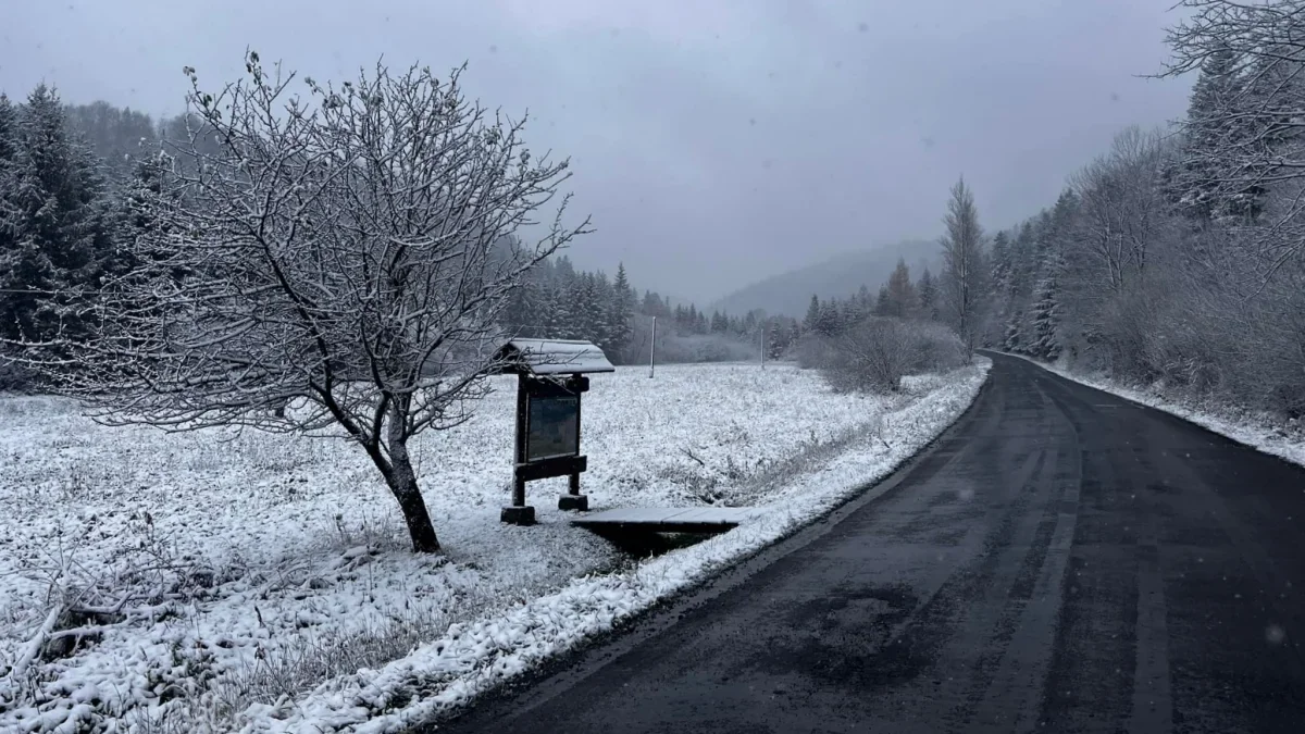 Bieszczady. Pogoda i warunki górskie na dziś. Sobota, 18 listopada - Zdjęcie główne