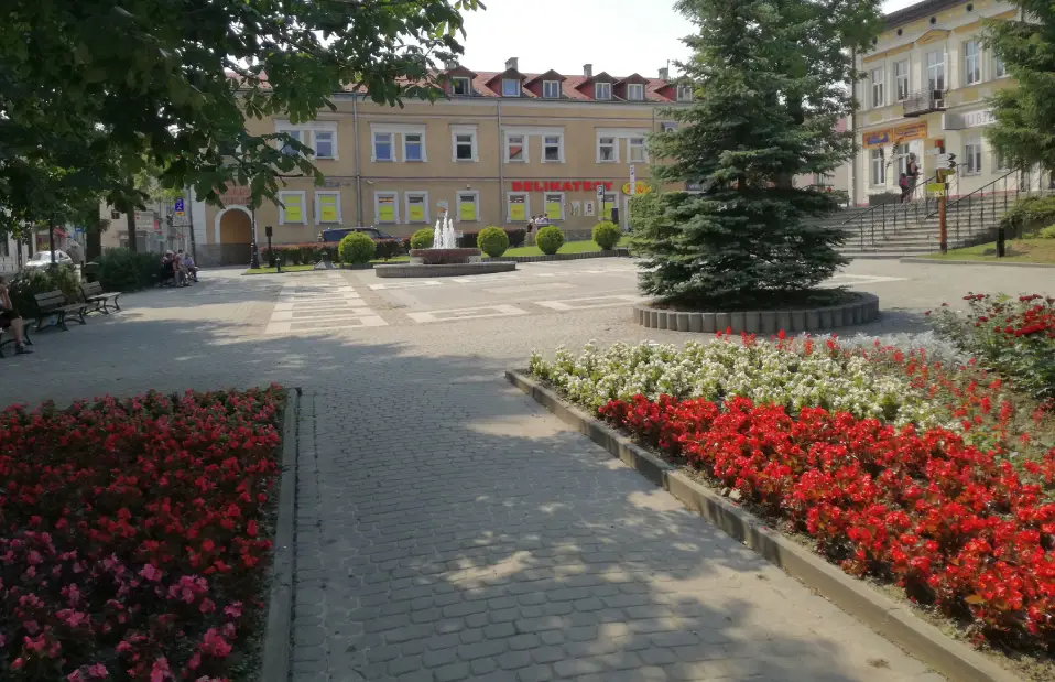 24 października. Międzynarodowe Mistrzostwa Bieszczad w Nordic Walking - Zdjęcie główne