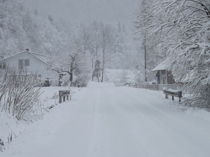Śnieżyce w Bieszczadach. Fatalne warunki na drogach! [FOTO] - Zdjęcie główne