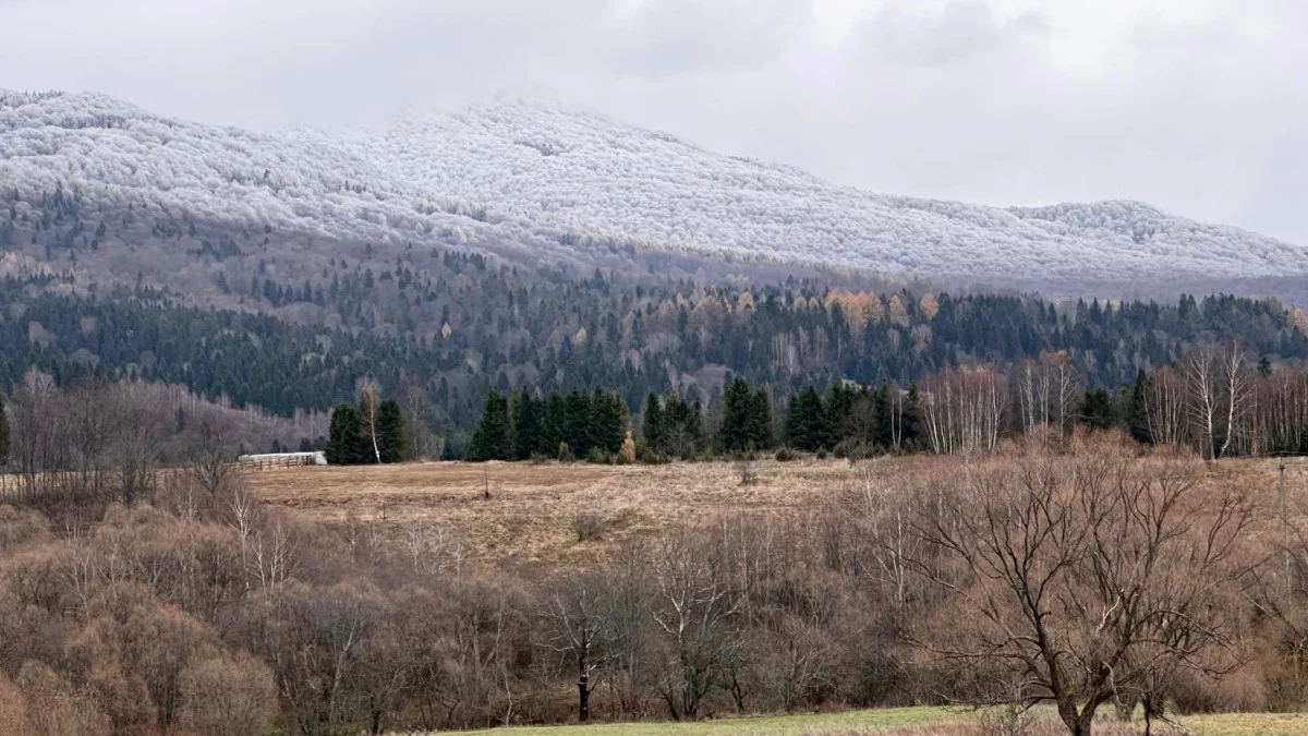 Bieszczady. Pogoda i warunki górskie na dziś. Środa 04 grudnia - Zdjęcie główne