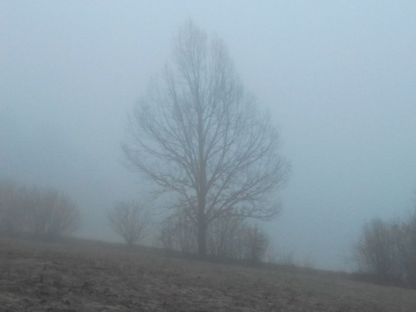 Warunki pogodowe w Bieszczadach - Zdjęcie główne