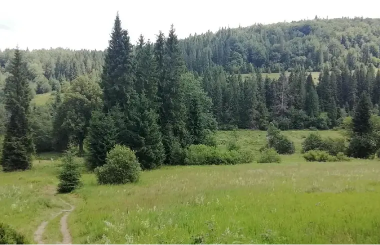 fot. Ola Troszczyńska / Miejsce, gdzie stał dwór Stroińskich