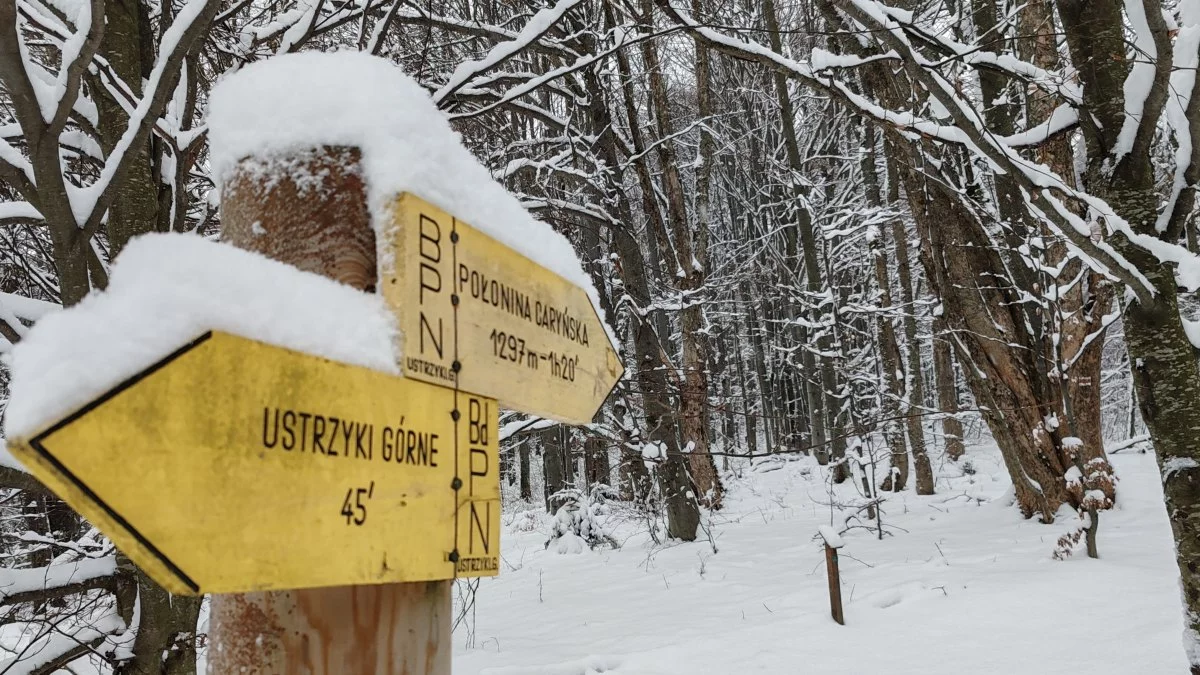 Od pogody dla koneserów do bajkowych widoków. Bieszczady w pełnej okazałości [ZDJĘCIA] - Zdjęcie główne