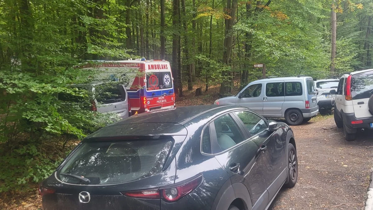 Grzybiarze zablokowali wjazd do lasu karetce pogotowia. Ważna była jak najszybsza pomoc - Zdjęcie główne