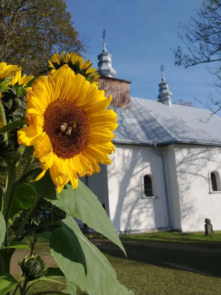 fot. Jędruś Ciupaga