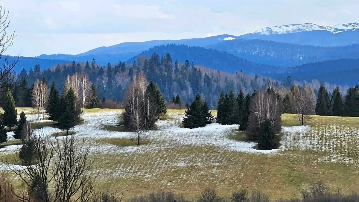 Bieszczady. Pogoda i warunki górskie na dziś. Poniedziałek, 25 marca - Zdjęcie główne