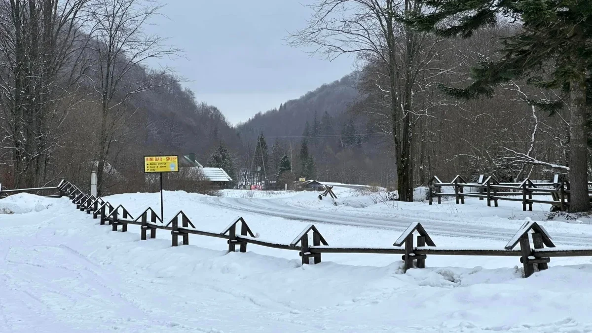 Bieszczady. Pogoda i warunki górskie na dziś. Środa, 27 grudnia - Zdjęcie główne