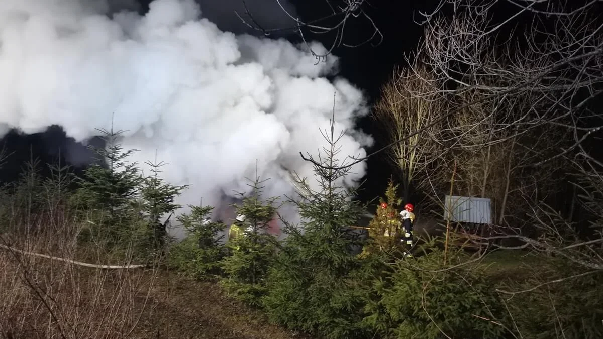 Pożar drewnianego domku w Cisowcu. Wewnątrz budynku była jedna osoba [ZDJĘCIA] - Zdjęcie główne