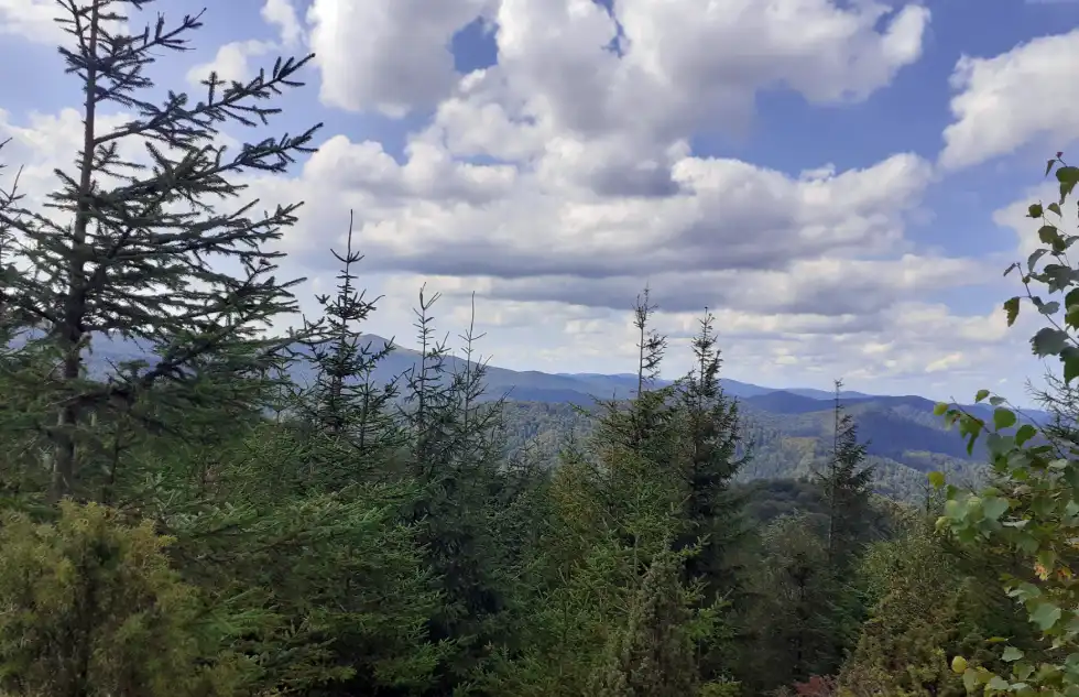 ścieżka Dwernik-Kamień / Na szczycie czeka na nas miła niespodzianka. Piękna panorama Bieszczadów.