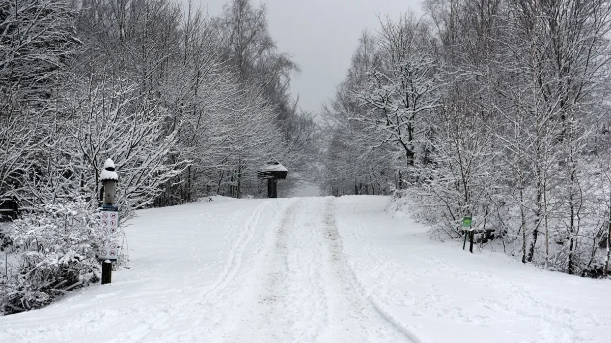 Bieszczady. Trudne warunki na szlakach górskich. Miejscami warstwa śniegu dochodzi nawet do 40 centymetrów - Zdjęcie główne