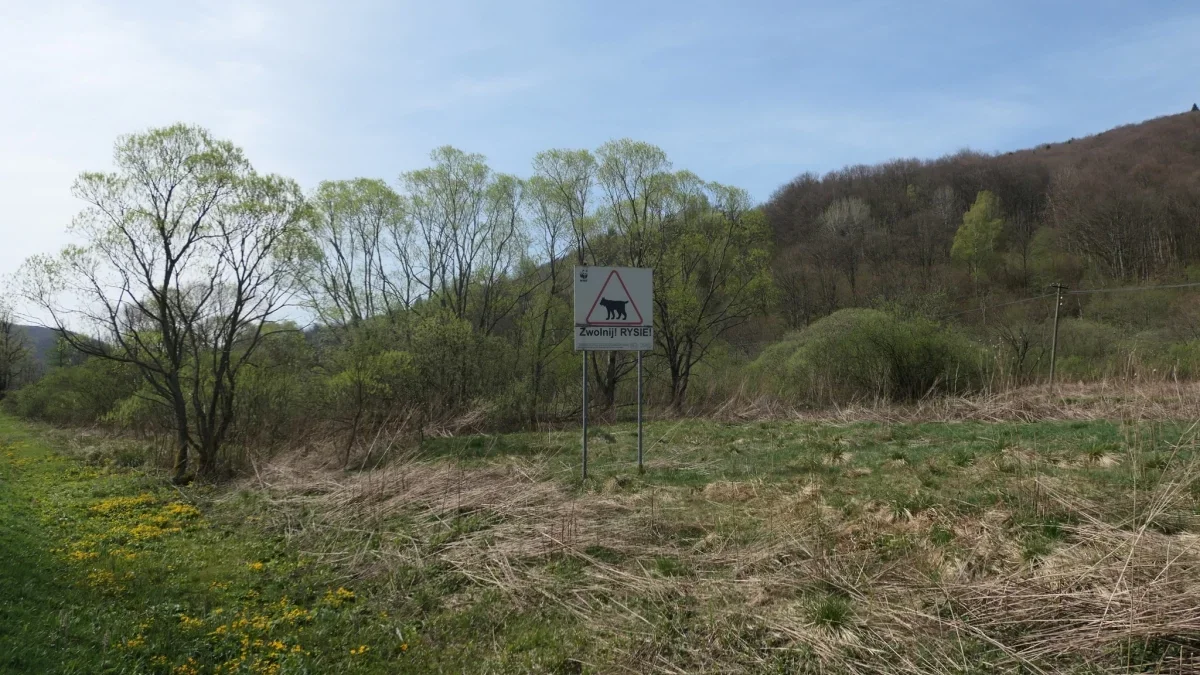 Bieszczady. Pogoda i warunki górskie na dziś. Sobota, 12 kwietnia - Zdjęcie główne