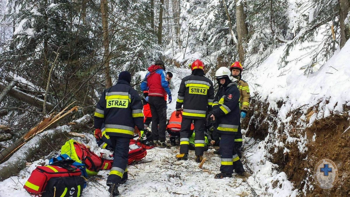 Mężczyzna zginął podczas prac w lesie. Ratownicy nie mogli już pomóc... [ZDJĘCIA] - Zdjęcie główne