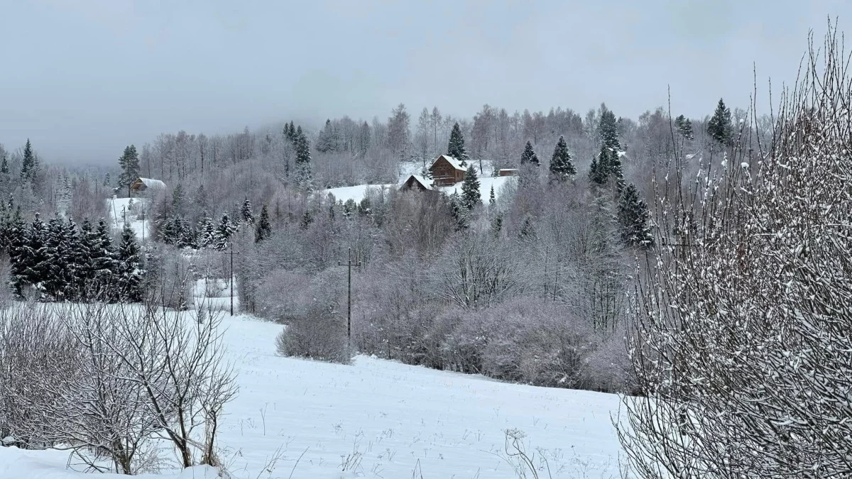 Pogoda Bieszczady. Prognoza na dziś. Sobota 18 stycznia - Zdjęcie główne