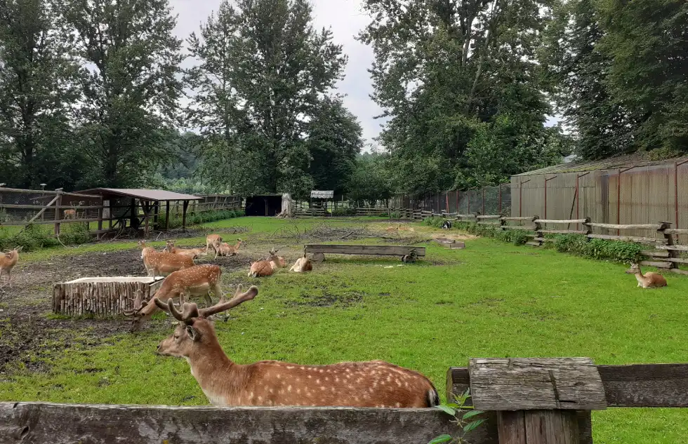 zdj. Joanna Zwolińska / mini-zoo w Centrum Kultury Ekumenicznej Caritas w Myczkowcach.