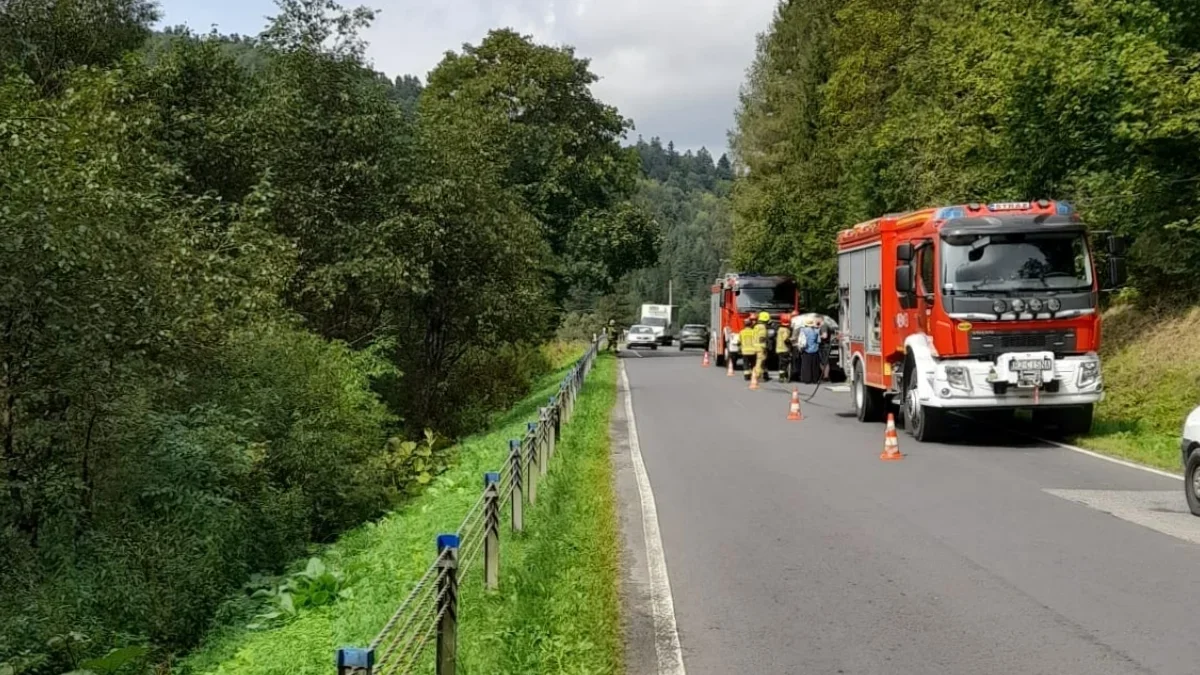 Pożar samochodu w Krzywem w Bieszczadach. Kierowcy podczas tego zdarzenia wykazali się wzorową postawą - Zdjęcie główne