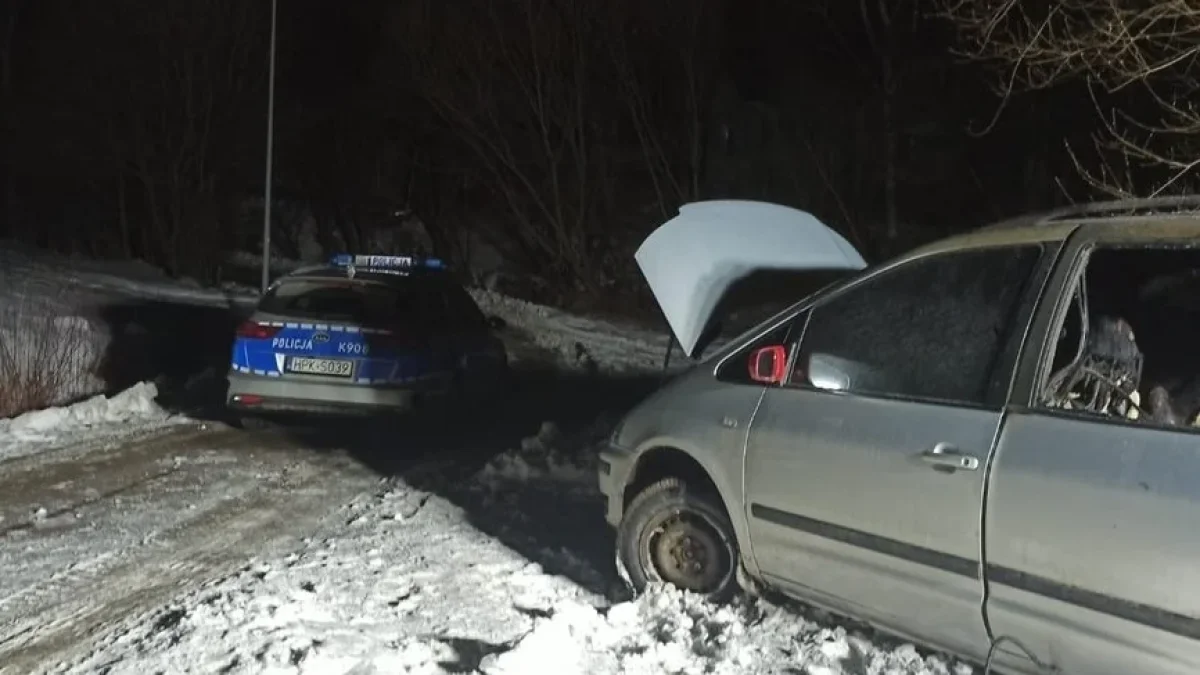 Pożar samochodu osobowego w Bukowsku. Na tylnym siedzeniu znaleziono zwęglone zwłoki - Zdjęcie główne