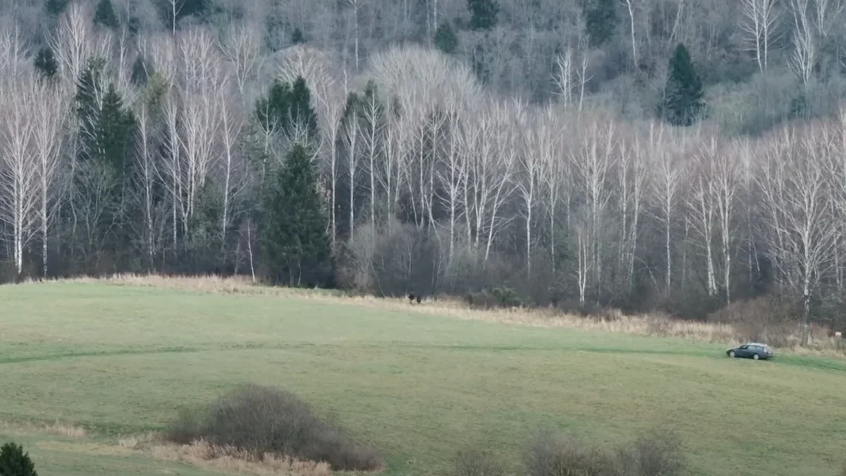 Skandynawska wyprawa na bieszczadzkie pogranicze. "Spacer" Norwegów został nagrany przez służbowego drona [WIDEO] - Zdjęcie główne