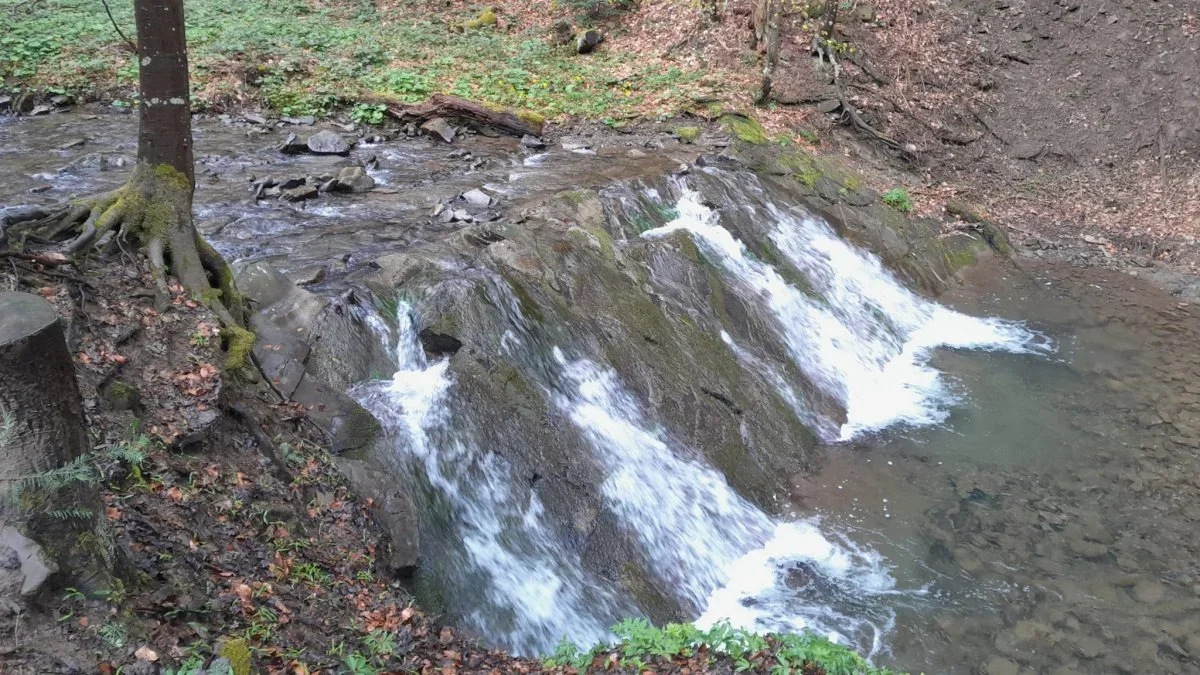 Bieszczady. Osuwiska nie tylko zagrażają, mogą być urokliwe - Zdjęcie główne