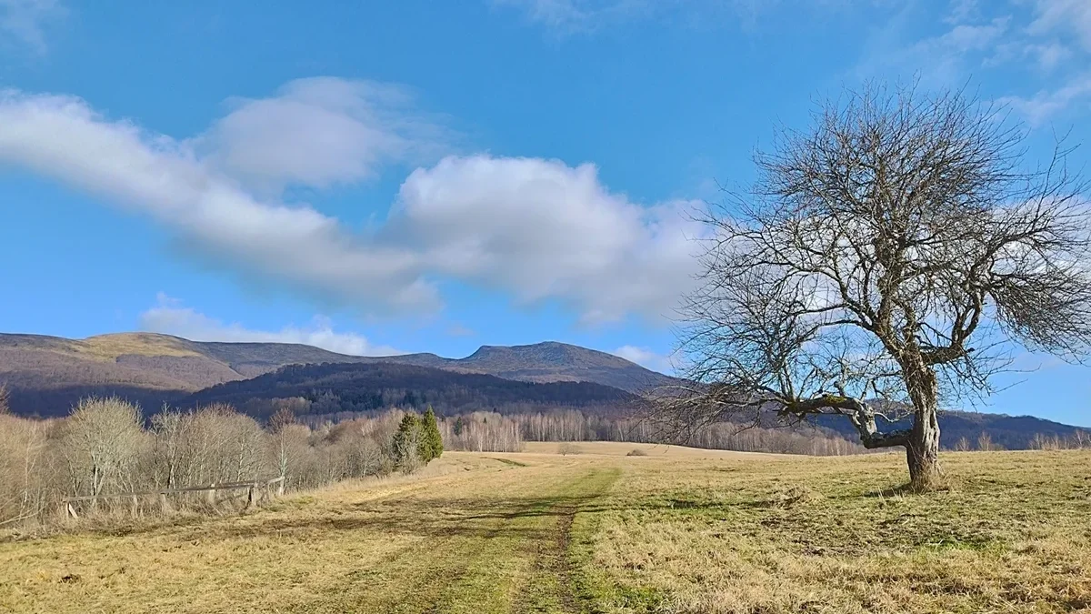 Bieszczady. Wszystkie odcinki szlaków i ścieżek turystycznych są drożne. Miejscowo może być ślisko i błotniście - Zdjęcie główne