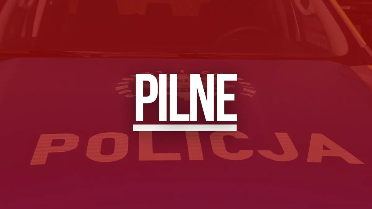 W Bieszczadach znaleziono szczątki. Trwają działania policji! - Zdjęcie główne