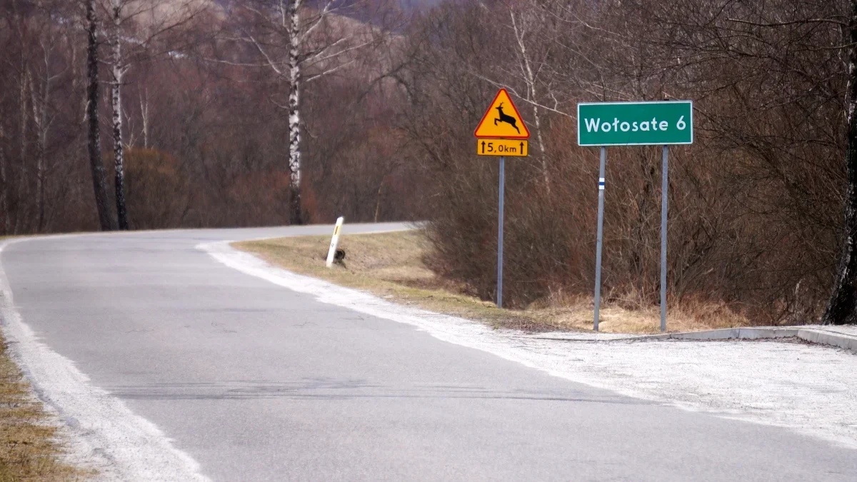 Bieszczady. Pogoda i warunki górskie na dziś. Niedziela, 25 lutego - Zdjęcie główne