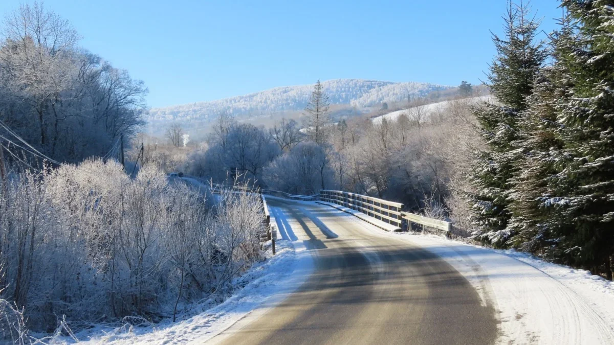 Bieszczady. Pogoda i warunki górskie na dziś. Sobota, 13 stycznia - Zdjęcie główne