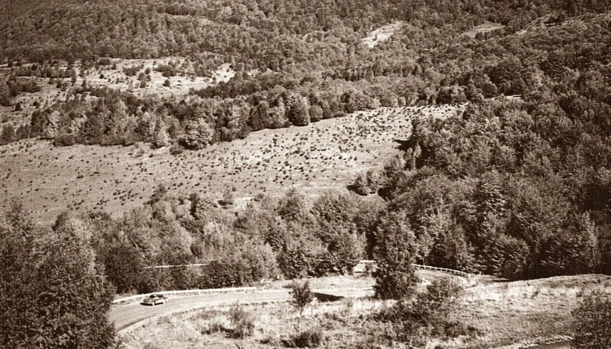 Z Przełęczy Wyżnej w stronę Wetliny. Bieszczadzka panorama na archiwalnej fotografii - Zdjęcie główne