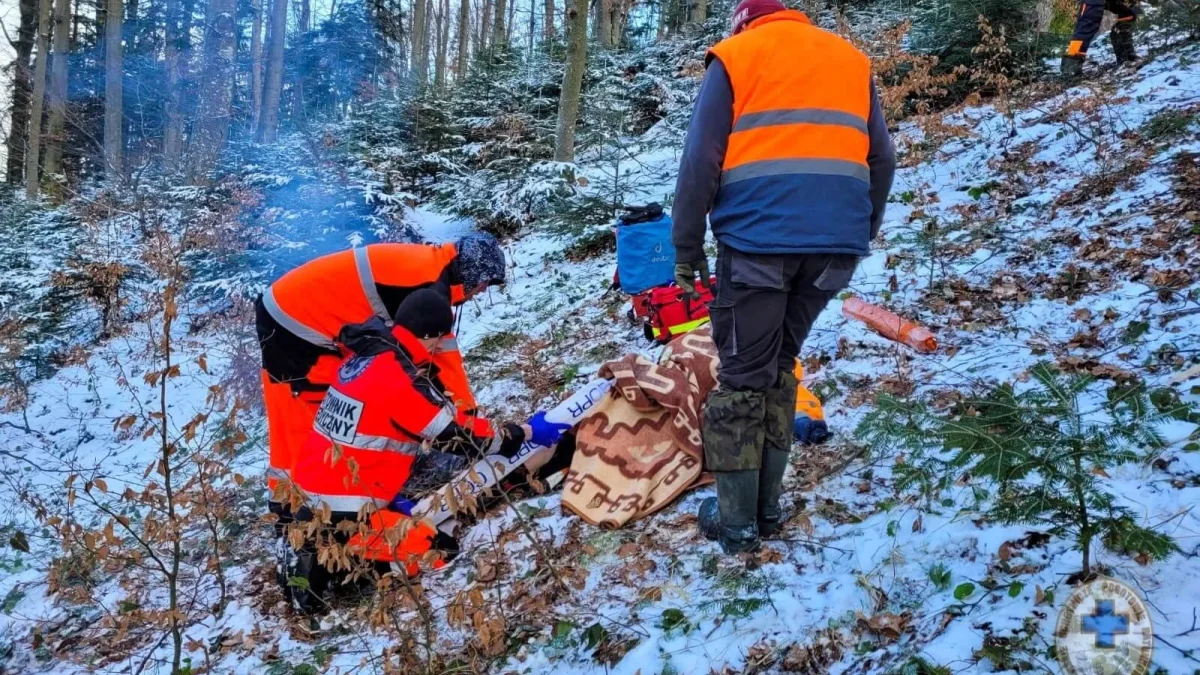 Poważny uraz nogi podczas prac leśnych w okolicy Cisnej. Do zdarzenia zadysponowano ratowników BPR oraz GOPR - Zdjęcie główne