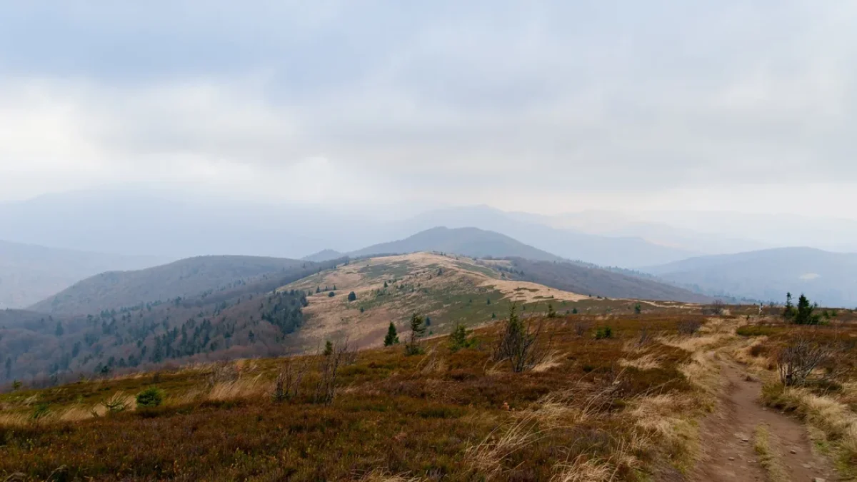 Bieszczady. Pogoda i warunki górskie na dziś. Piątek, 10 listopada - Zdjęcie główne