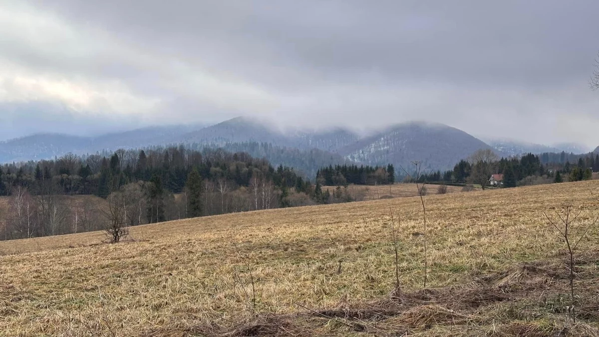 Bieszczady. Pogoda i warunki górskie na dziś. Czwartek 19 grudnia - Zdjęcie główne