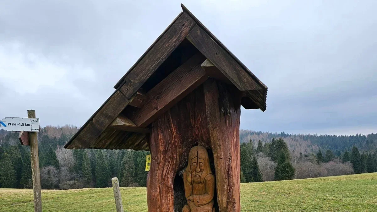 Bieszczady. Pogoda i warunki górskie na dziś. Niedziela, 11 lutego - Zdjęcie główne