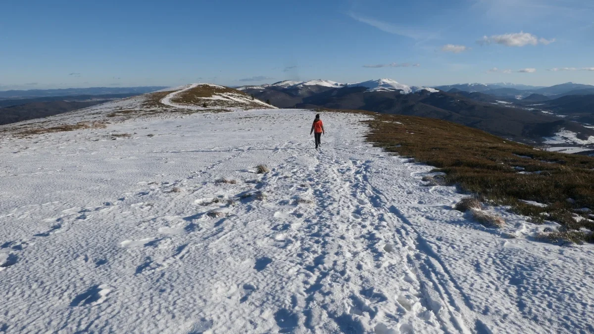 Bieszczady. Pogoda i warunki górskie na dziś. Piątek, 29 grudnia - Zdjęcie główne