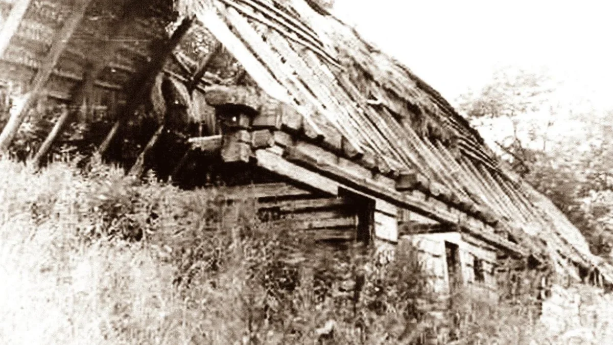 Chata w Łopience to ślad po bojkowskiej wiosce w sercu Bieszczad. Historia starej fotografii - Zdjęcie główne