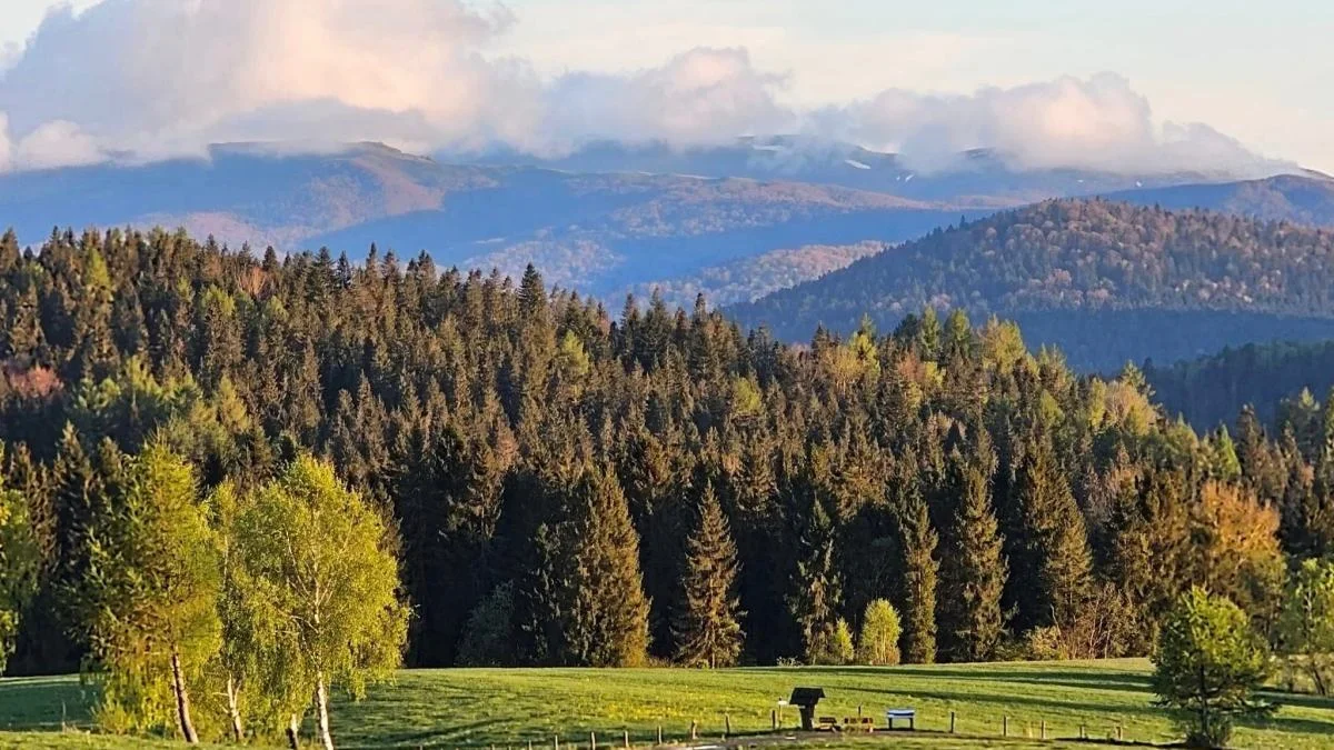 Bieszczady. Pogoda i warunki górskie na dziś. Piątek, 26 kwietnia - Zdjęcie główne