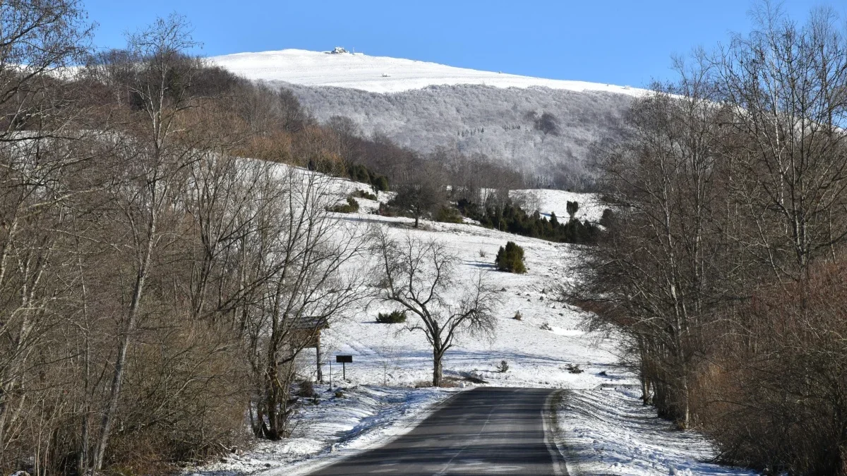 Bieszczady. Pogoda i warunki górskie na dziś. Czwartek, 11 stycznia - Zdjęcie główne