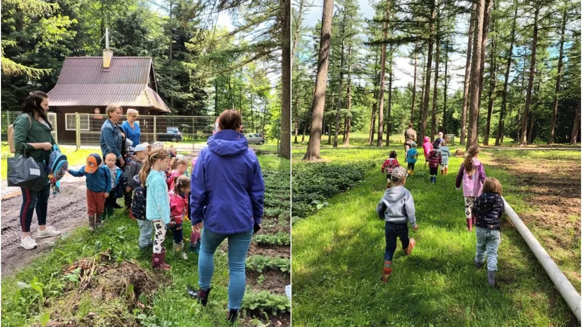 Wakacyjna edukacja w lesie niedaleko Leska. Najmłodsi poznali tajniki pracy leśników - Zdjęcie główne