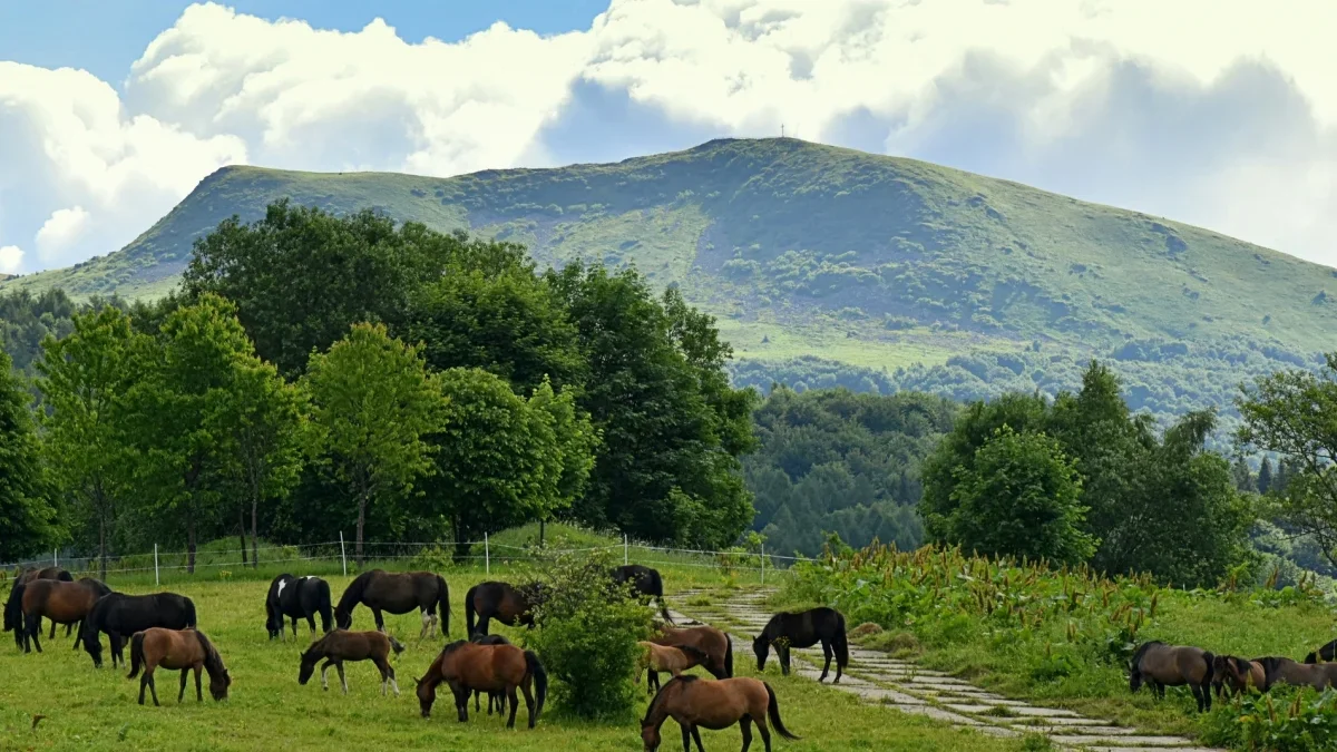 Bieszczady. Pogoda i warunki górskie na dziś. Wtorek, 05 września - Zdjęcie główne