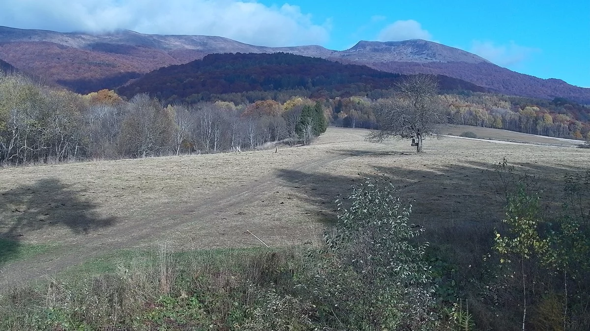 Widok na Bieszczady na żywo. Od teraz jeszcze lepiej zobaczymy Tarnicę - Zdjęcie główne