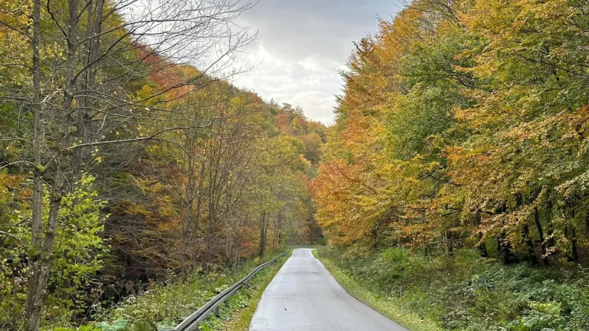 Bieszczady. Pogoda i warunki górskie na dziś. Niedziela, 22 października - Zdjęcie główne